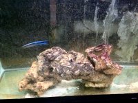 IMG_1979.JPG