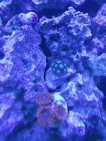 20130901_225905.jpg