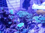 20140521_203308.jpg