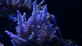 DSC06195.jpg