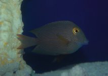 IMG_4976.jpg