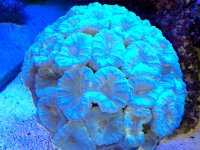 IMG_1222_zpse283936b.jpg