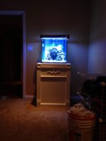 ImageUploadedByReefs1382101338.715684.jpg