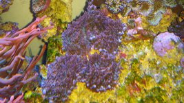 2014-03-30 16.57.24.jpg