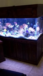 20130902_210057_resized.jpg
