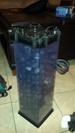 20130902_204131_resized.jpg