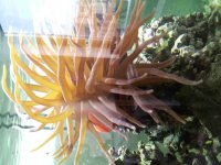 20131116_085100lotres.jpg