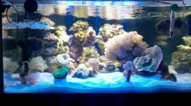 2013-11-11_20-24-39_662.jpg