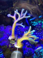 photo(1).jpg