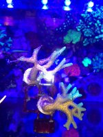 photo(2).JPG
