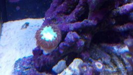 unnamed (12).jpg