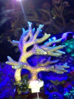 photo(3).JPG