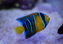 IMG_7862.jpg