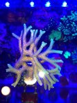 photo(4).jpg