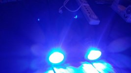 20131116_163154_resized.jpg