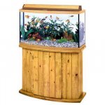 46 gallon tank with stand.jpg