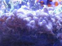 IMG_1847.JPG