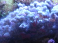 IMG_1848.JPG