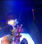 1-5-2014 3-51-02 PM.jpg