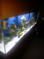 20130526_204751.jpg