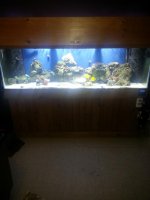 20130526_204725.jpg