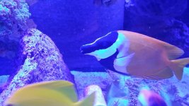 20131117_131709_resized.jpg