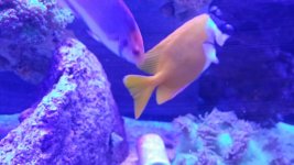 20131117_131810_resized.jpg