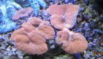 IMG_2092.jpg