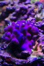 IMG_4722.jpg