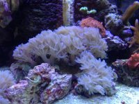 IMG_4663.jpg