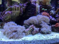 IMG_4664.jpg