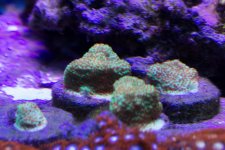 IMG_4724.jpg
