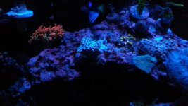 20140212_222543.jpg