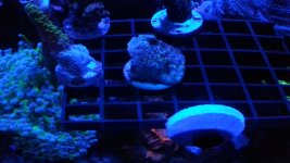 20140212_222639.jpg
