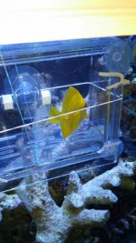 20140910_204554.jpg