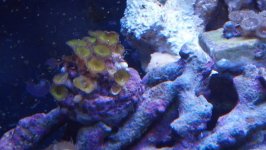 unnamed (13).jpg