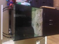 ImageUploadedByReefs2014-09-11 15:14:29 EDT.jpg