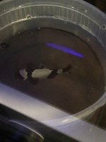IMG_4806.jpg