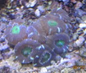 IMG_2204.jpg
