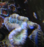 IMG_2210.jpg