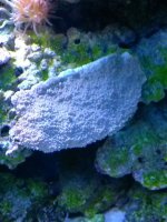 frags 6 1-6-14.jpg