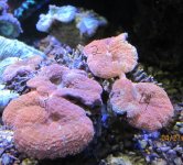 IMG_2128.jpg