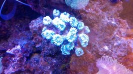 IMG_20140324_195353_328.jpg