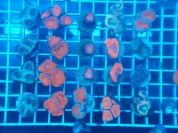 20140911_201158.jpg