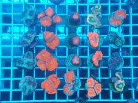 20140911_201227.jpg