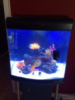 2014-01-09 11.14.14.jpg