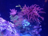 IMG_1354.jpg