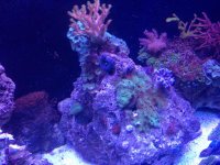 IMG_1353.jpg