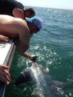 IMG_0122.jpg