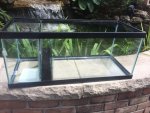 tank 2.jpg